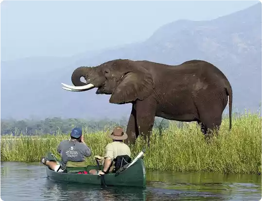 About GibraltarTenders